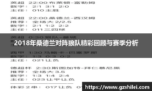2018年桑德兰对阵狼队精彩回顾与赛季分析